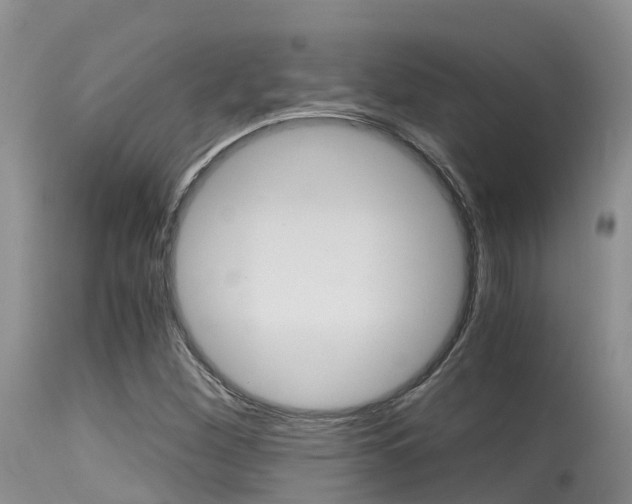 X0000115481260200911061017