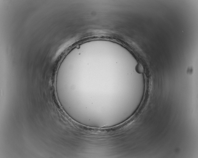 X0000115481261200911061017