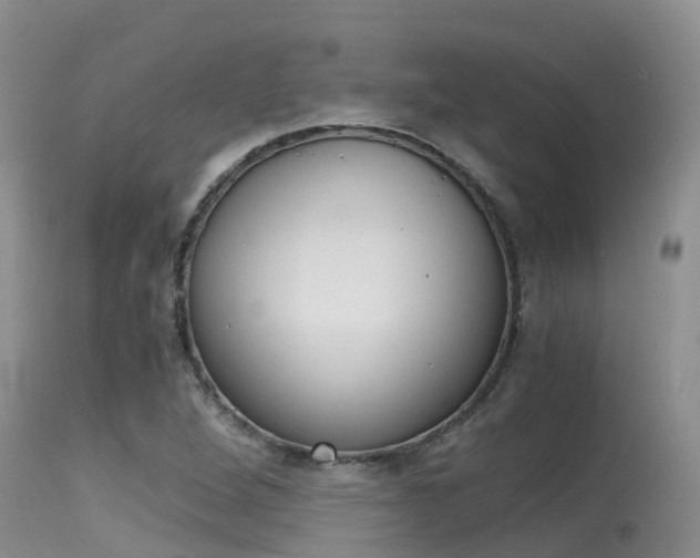 X0000115481264200911061017