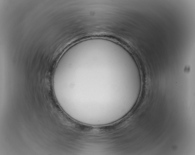 X0000115481265200911061017