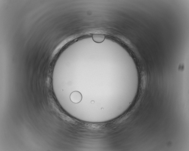 X0000115481266200911061017