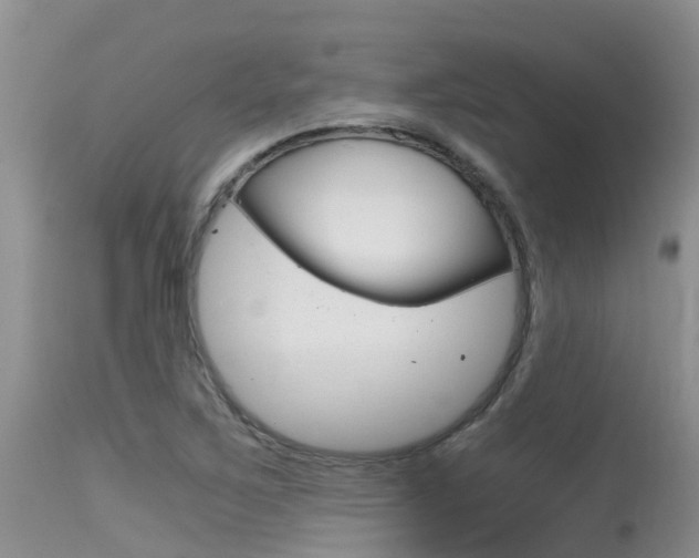 X0000115481267200911061016