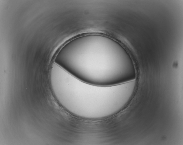 X0000115481268200911061016