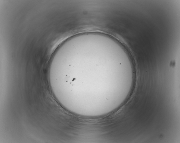 X0000115481269200911061016