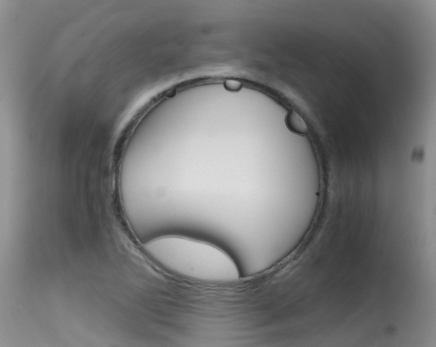 X0000115481270200911061016