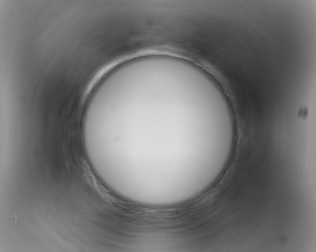 X0000115481272200911061016