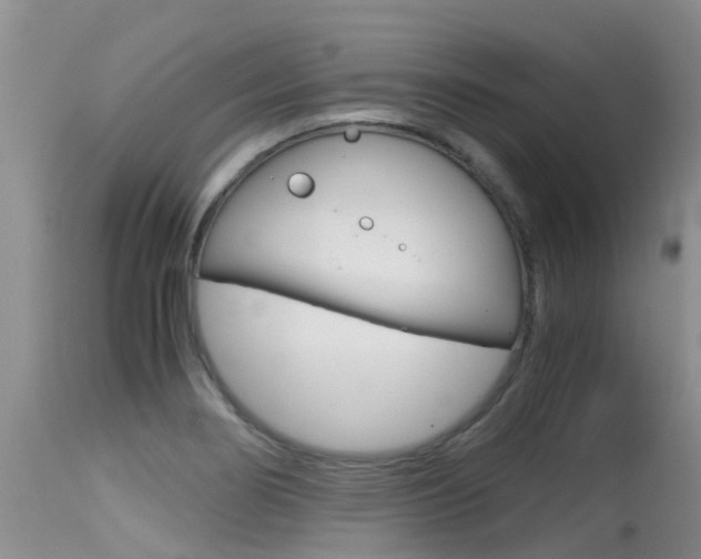 X0000115481274200911061016