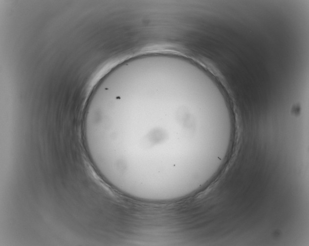 X0000115481277200911061016