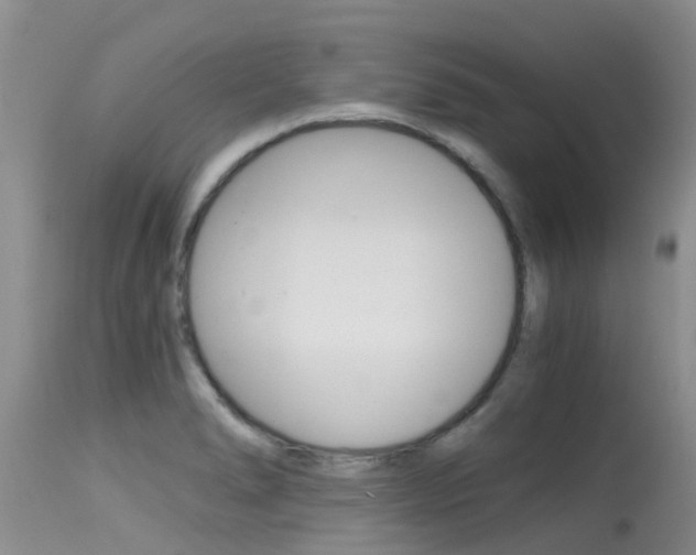 X0000115481278200911061016