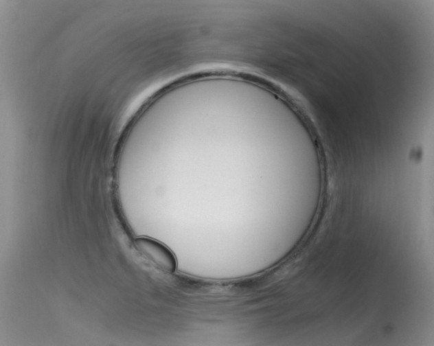 X0000115481279200911061016