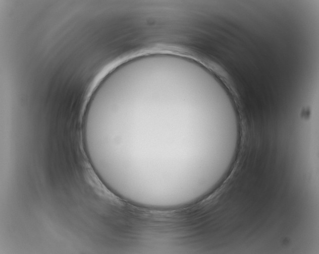 X0000115481280200911061016