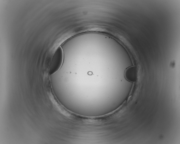 X0000115481281200911061016