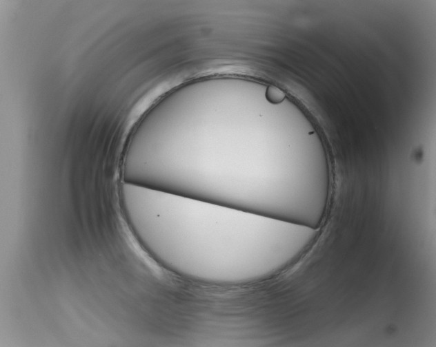 X0000115481282200911061016