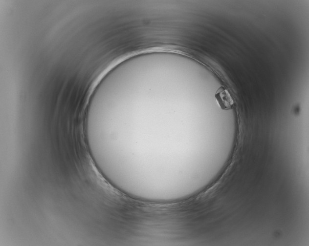 X0000115481284200911061016