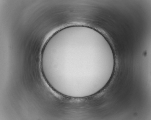 X0000115481286200911061016