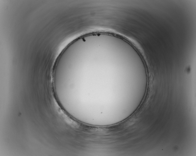 X0000115481287200911061016