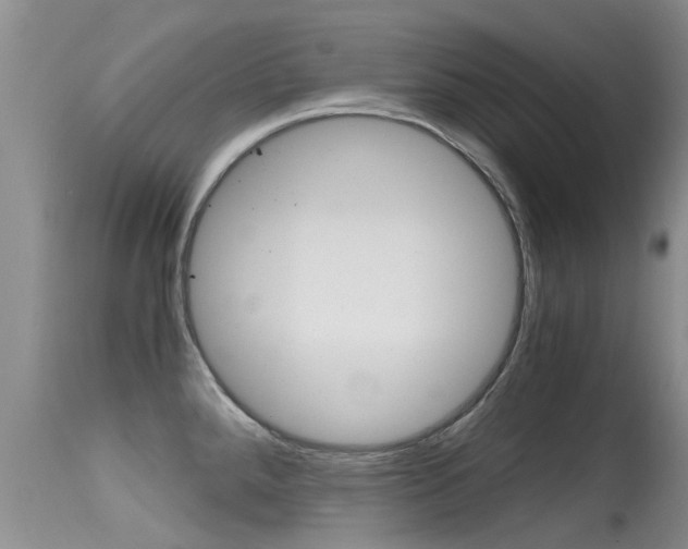 X0000115481288200911061016