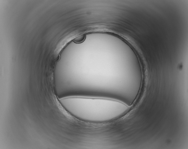X0000115481289200911061016