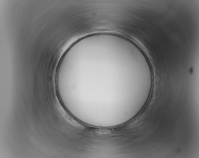 X0000115481291200911061016
