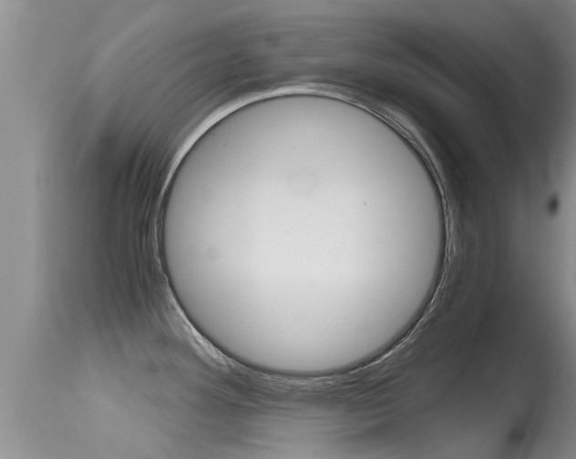 X0000115481292200911061016