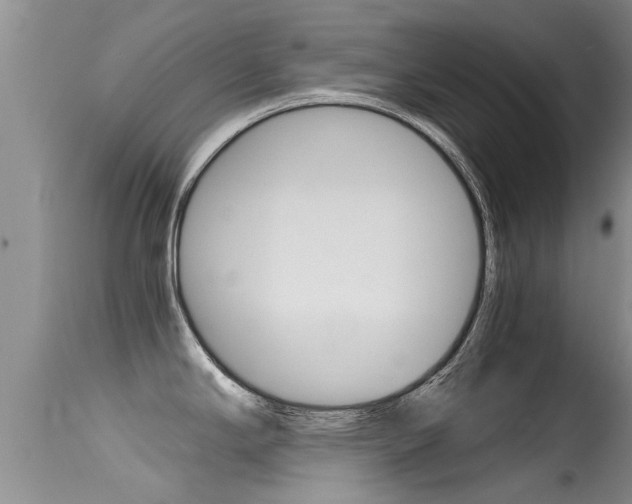 X0000115481294200911061016