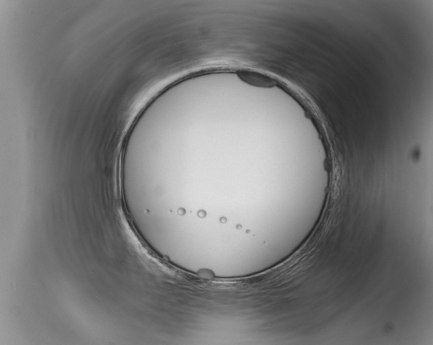 X0000115481295200911061016