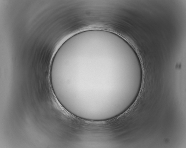 X0000115481296200911061016