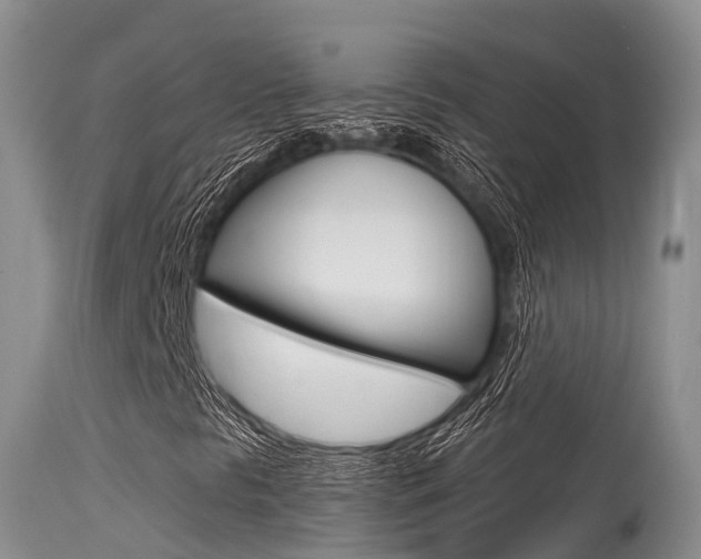 X0000115481297200911061015