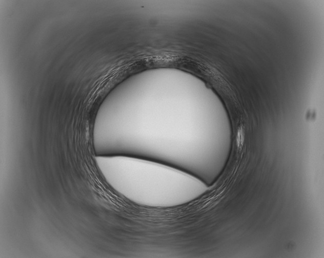 X0000115481299200911061015