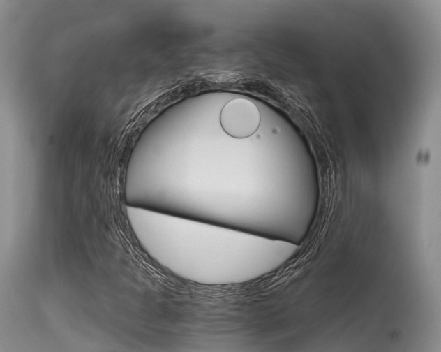 X0000115481301200911061015