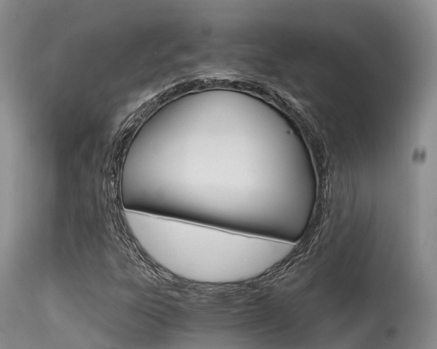 X0000115481303200911061016
