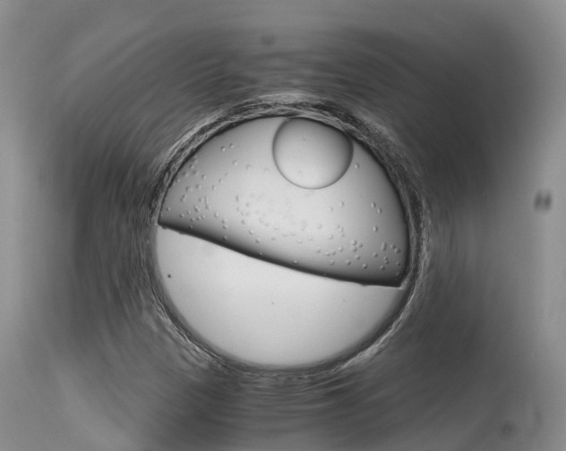 X0000115481305200911061016