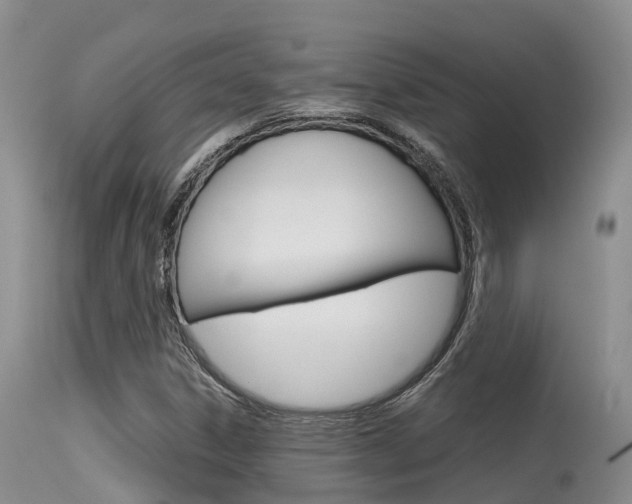 X0000115481306200911061016
