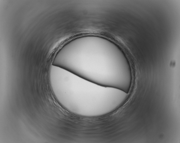 X0000115481307200911061016