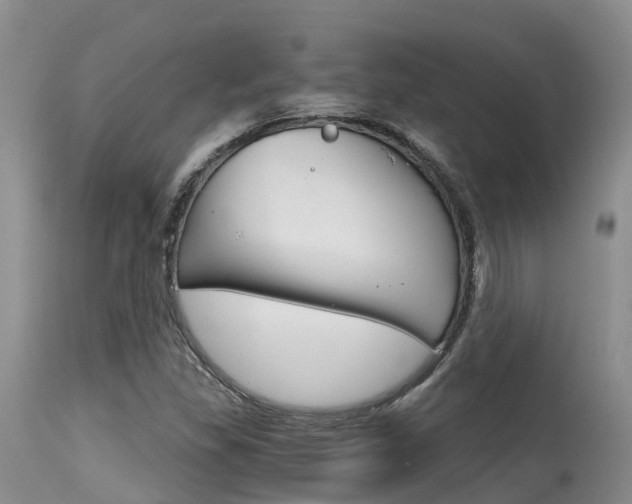 X0000115481309200911061016
