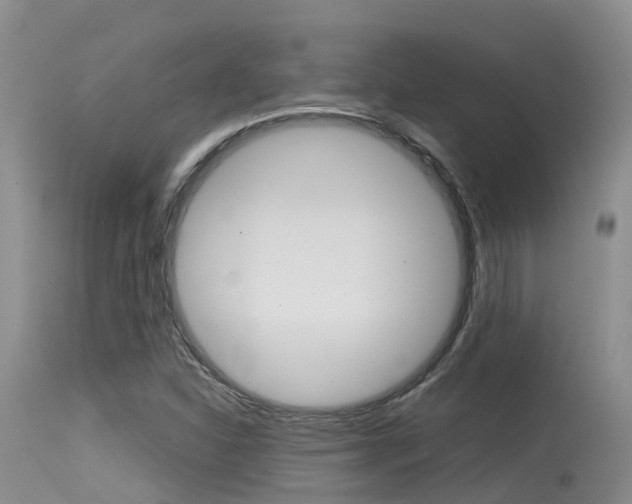 X0000115481310200911061016
