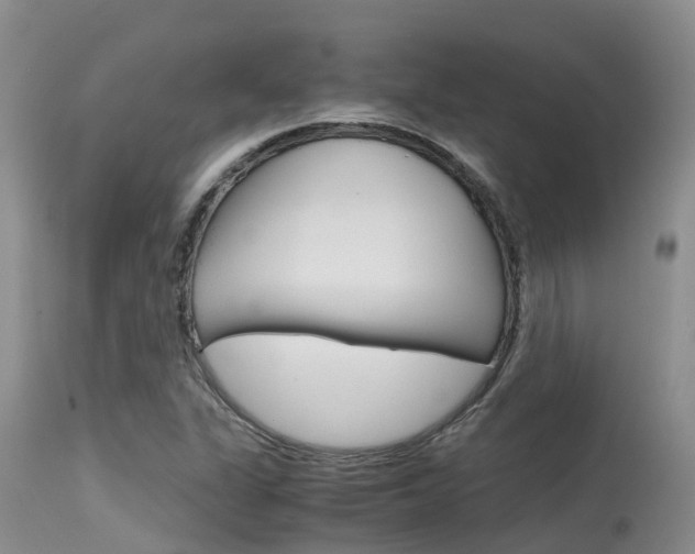 X0000115481311200911061016