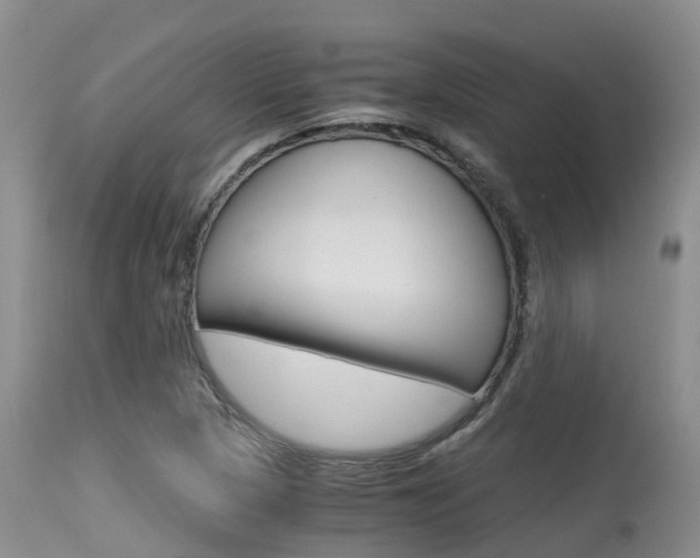 X0000115481313200911061016