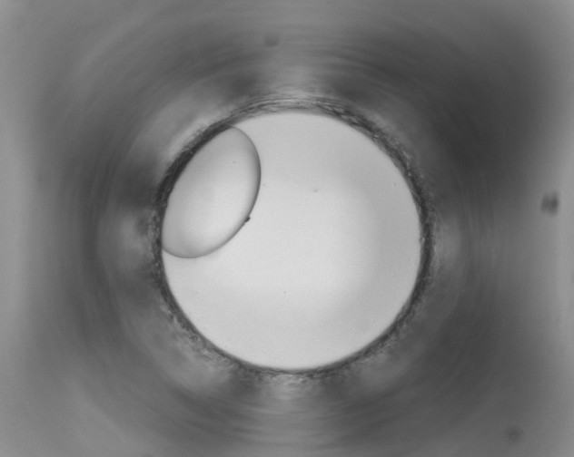 X0000115481314200911061016