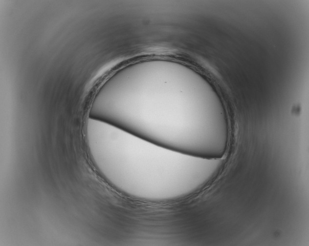 X0000115481315200911061016