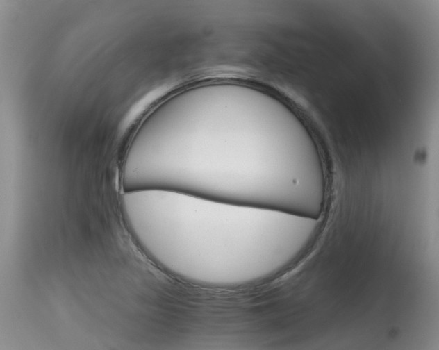 X0000115481317200911061016