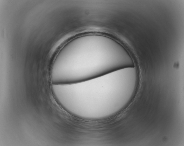 X0000115481318200911061016