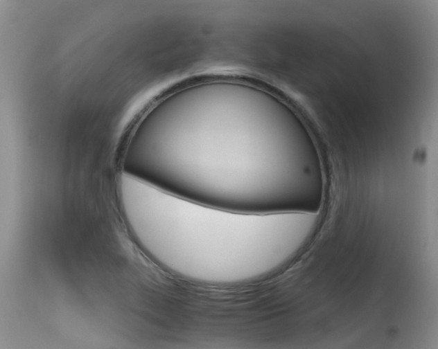 X0000115481319200911061016
