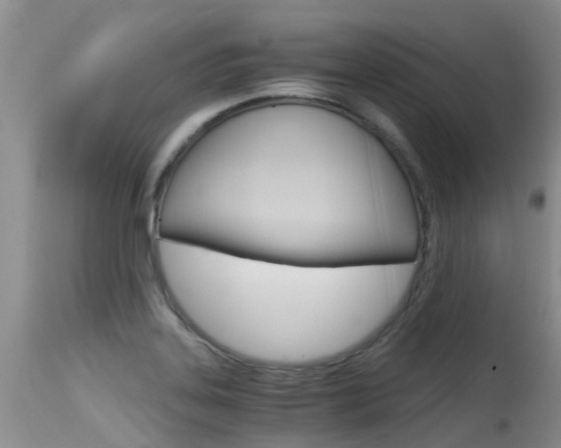 X0000115481323200911061016