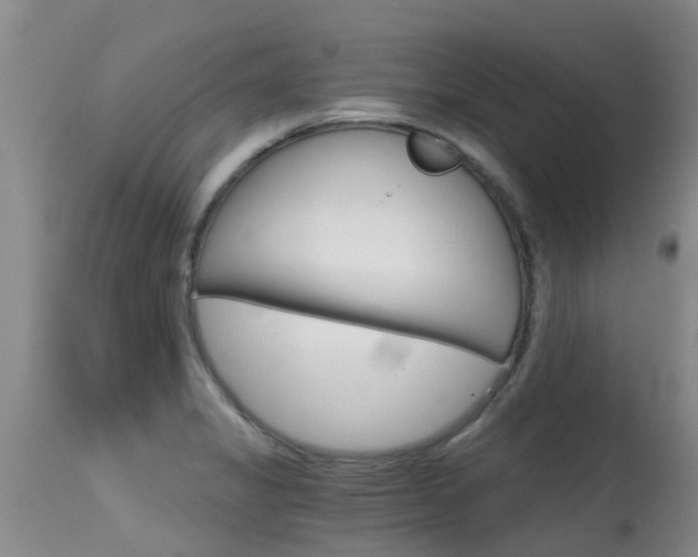 X0000115481325200911061016