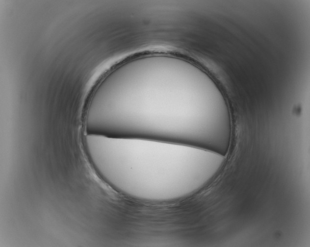 X0000115481327200911061016