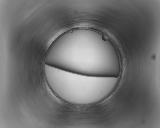 X0000115481329200911061016