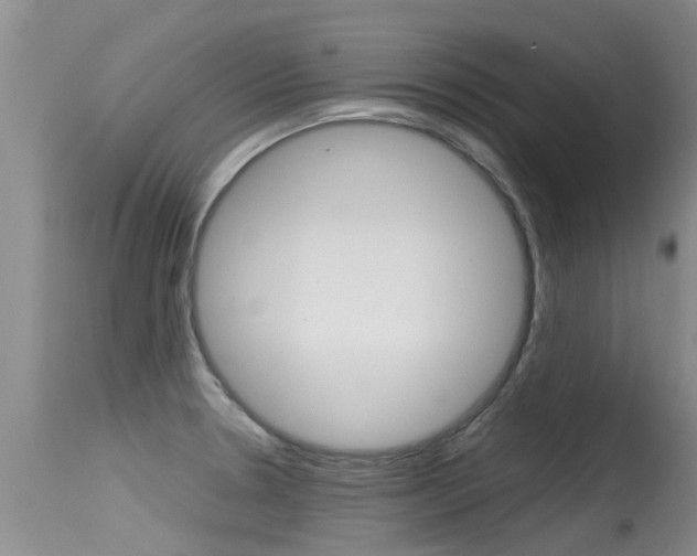 X0000115481330200911061016