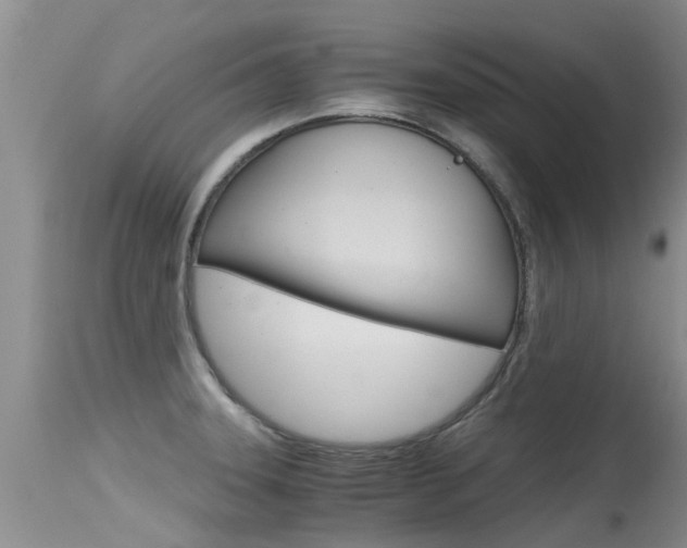 X0000115481331200911061016