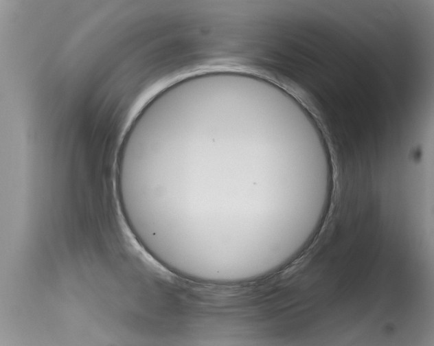 X0000115481334200911061016